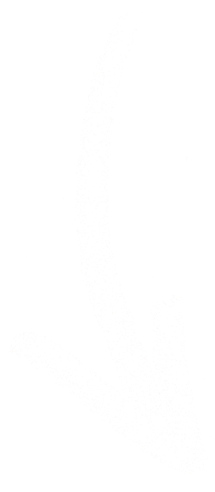 Chalk Arrow